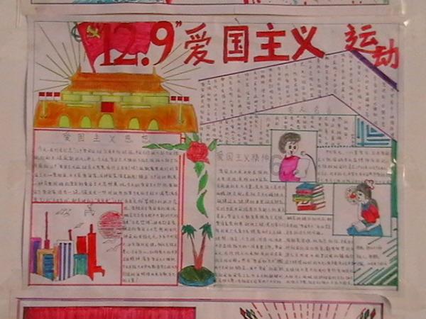 冷知识分享平台 - 探索奇闻异事,发现新奇冷知识 - 猫为什么一直舔主人的头?